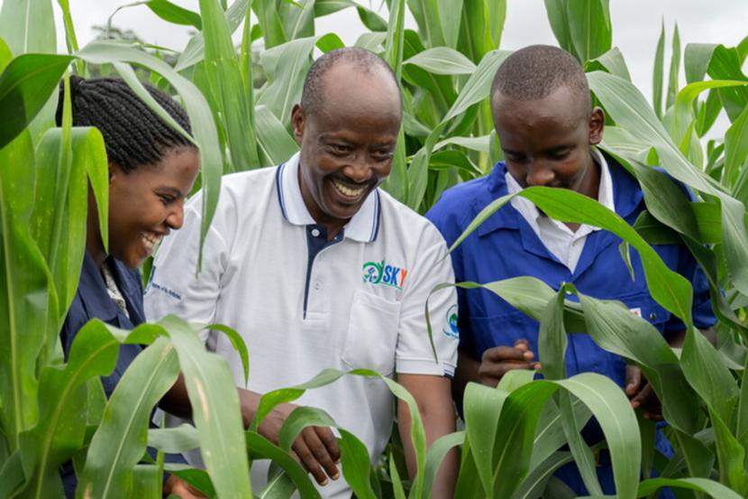 Youth participating in agricultural work